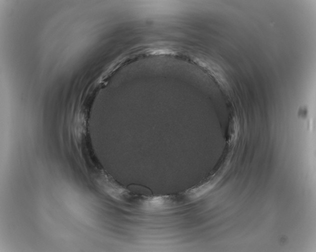 X0000091930382200709121603