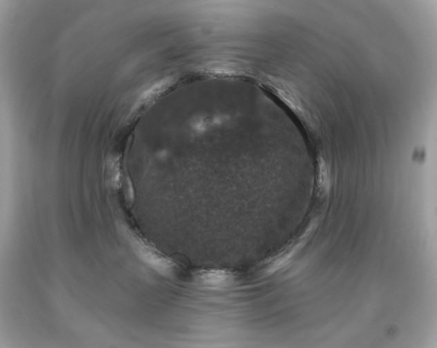 X0000091930383200709121603