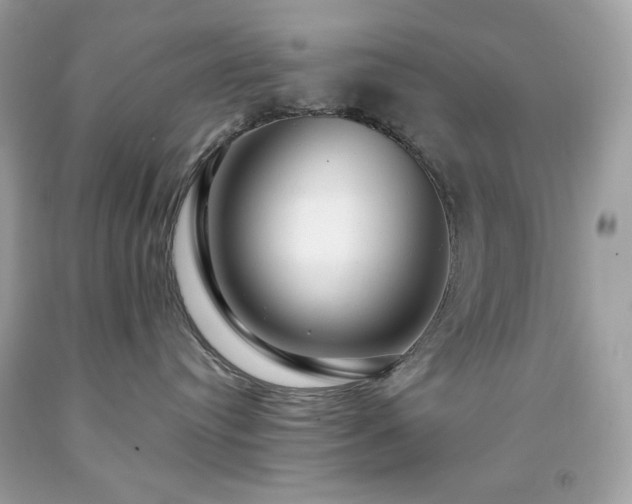 X0000091930384200709121603