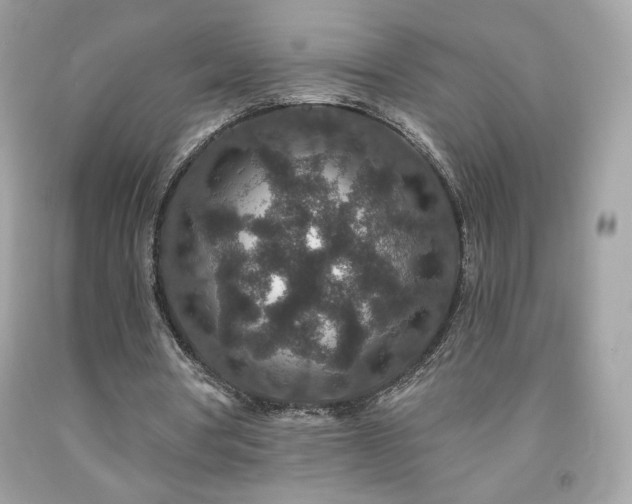 X0000091930386200709121603