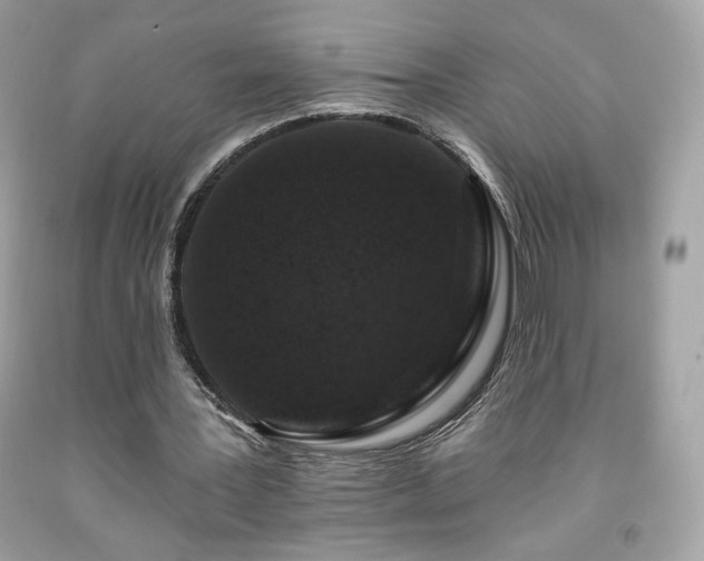 X0000091930387200709121603