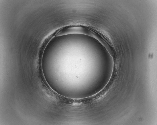 X0000091930388200709121603