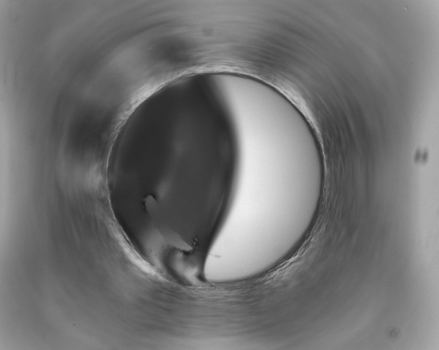 X0000091930389200709121603