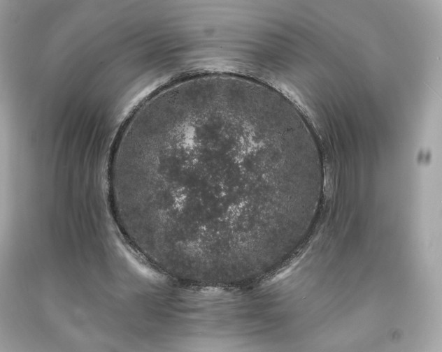 X0000091930390200709121603