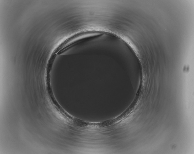 X0000091930391200709121603