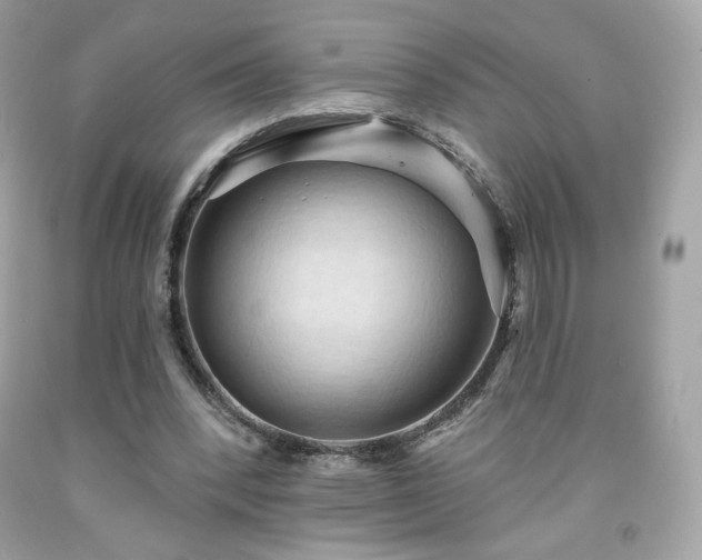 X0000091930392200709121603