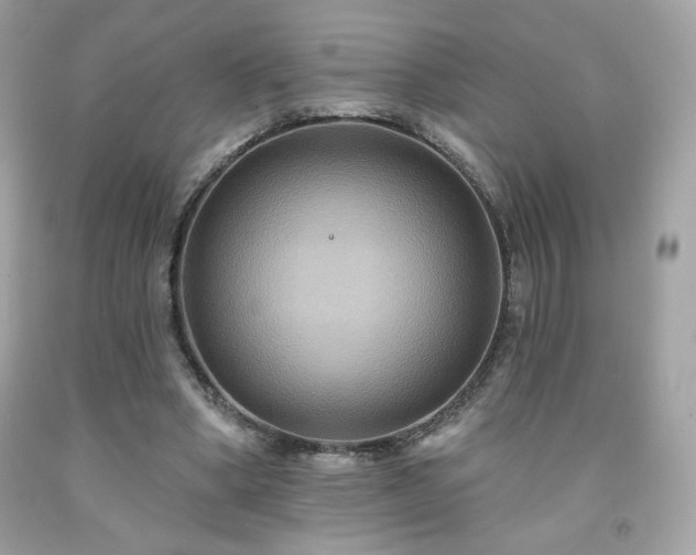 X0000091930394200709121603