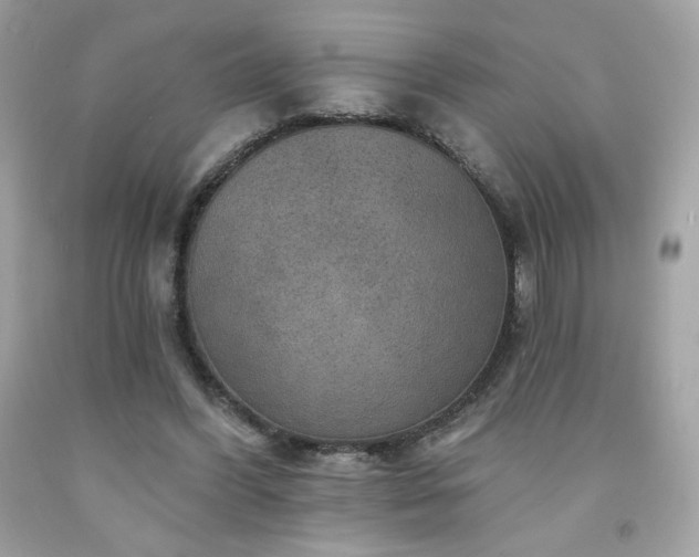 X0000091930396200709121603