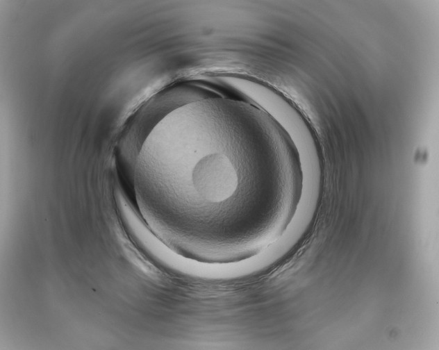 X0000091930397200709121603