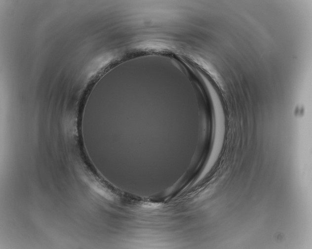 X0000091930399200709121603
