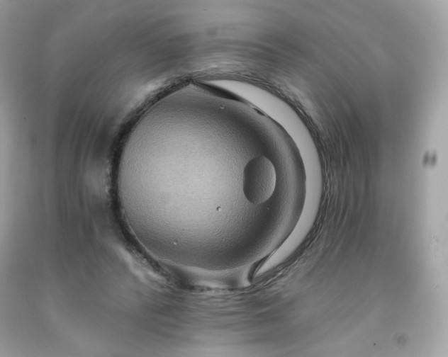 X0000091930400200709121603