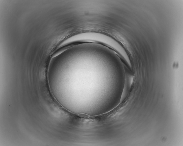 X0000091930401200709121603