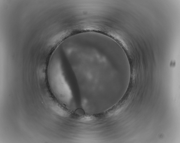 X0000091930402200709121603