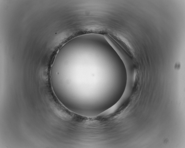 X0000091930403200709121603
