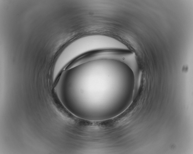 X0000091930404200709121603