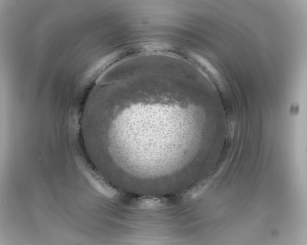 X0000091930405200709121603