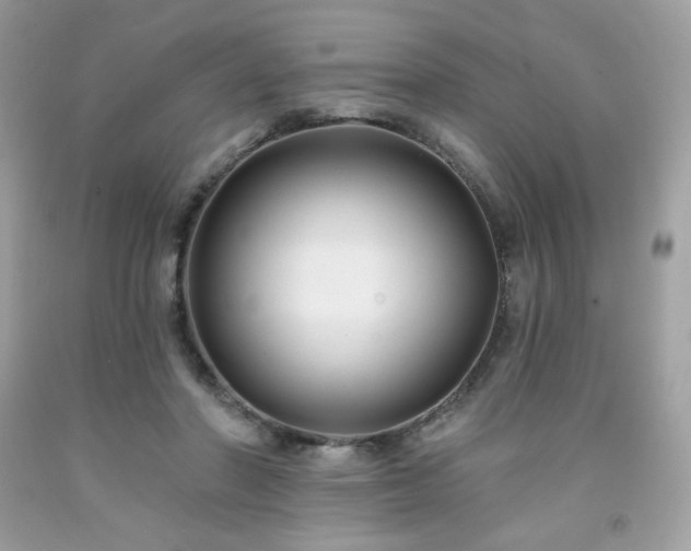 X0000091930406200709121603
