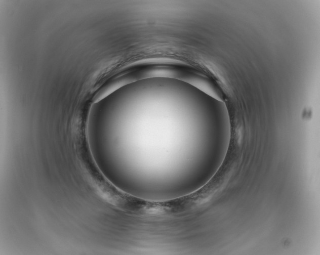 X0000091930407200709121603