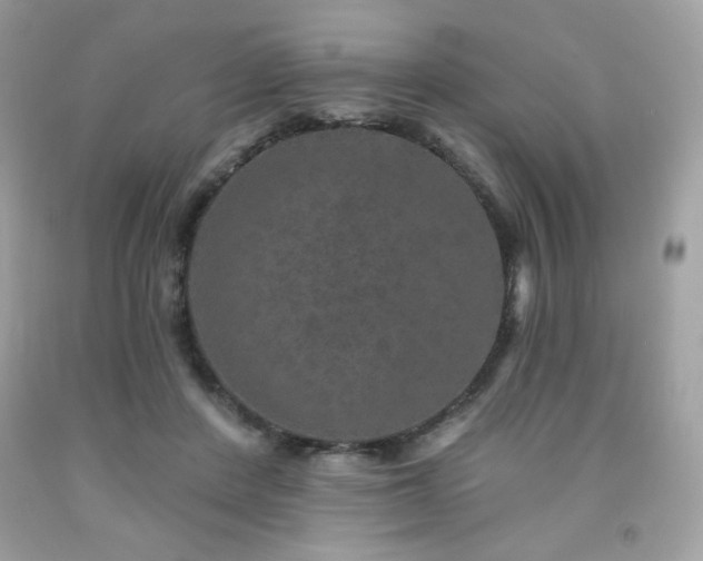 X0000091930408200709121603
