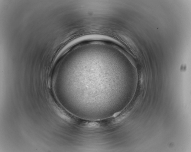 X0000091930409200709121603