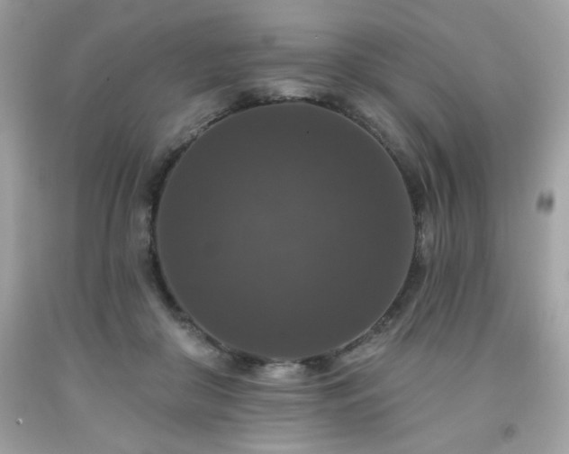 X0000091930410200709121603