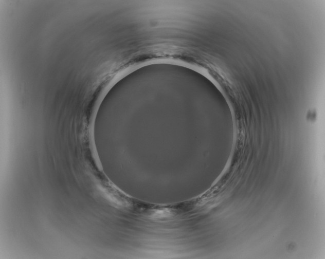 X0000091930411200709121603