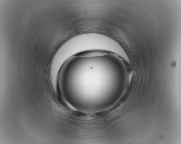 X0000091930412200709121603