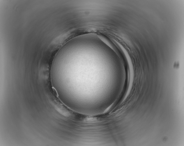 X0000091930413200709121602