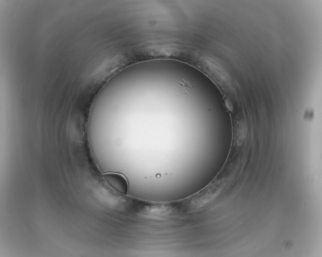 X0000091930414200709121602