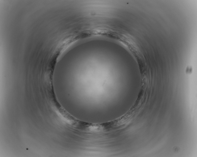 X0000091930415200709121602