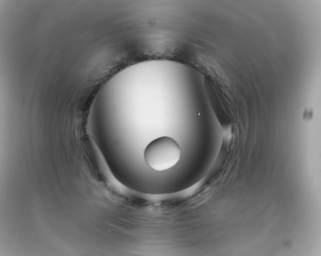 X0000091930416200709121602
