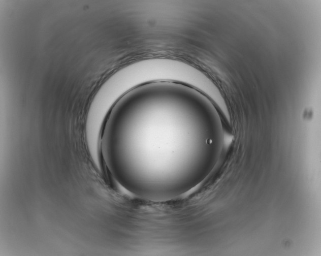 X0000091930417200709121602
