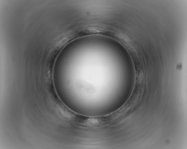 X0000091930418200709121602