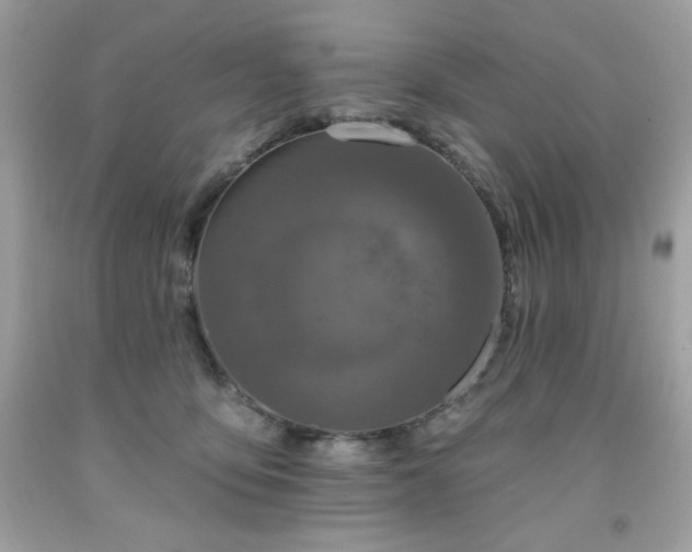 X0000091930419200709121602