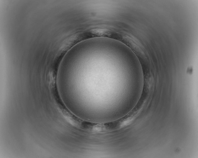 X0000091930420200709121602