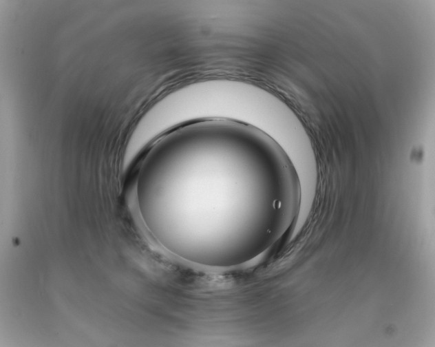 X0000091930421200709121602