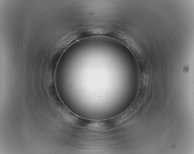 X0000091930422200709121602