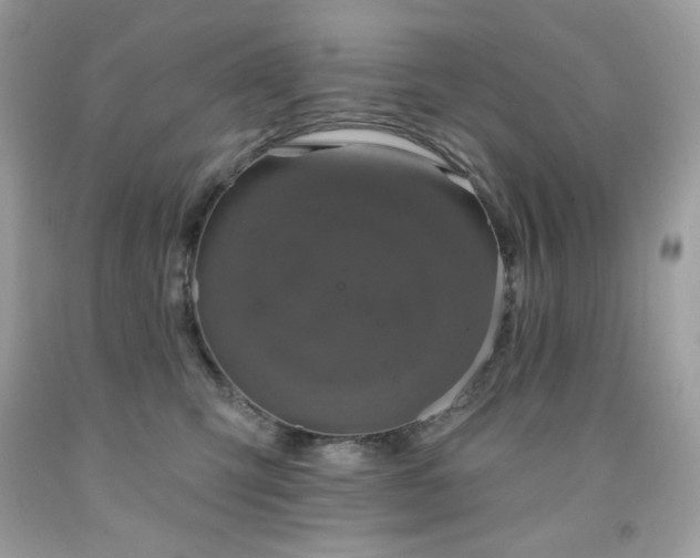 X0000091930423200709121602