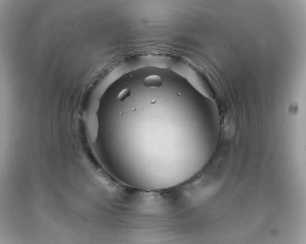 X0000091930424200709121602