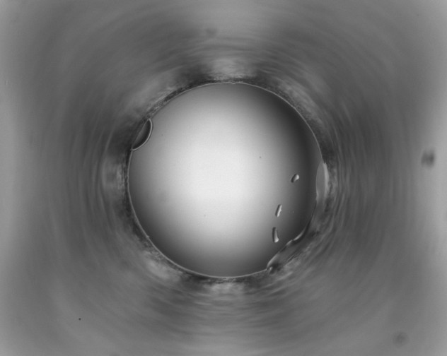 X0000091930426200709121602