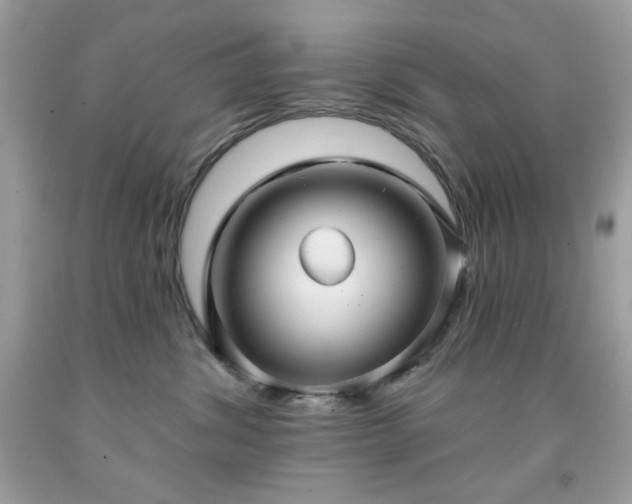 X0000091930428200709121602