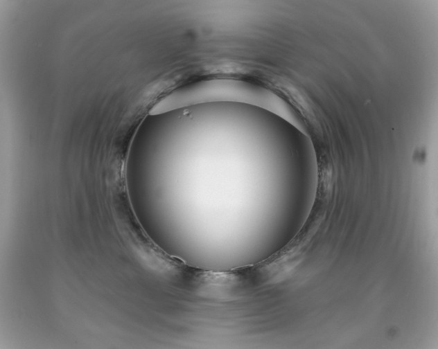 X0000091930429200709121602