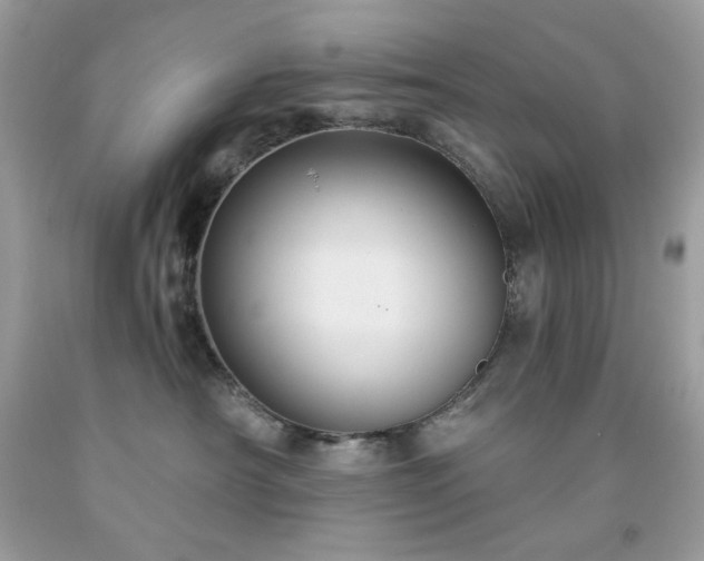 X0000091930430200709121602