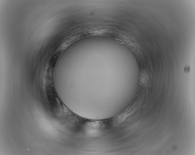 X0000091930431200709121602