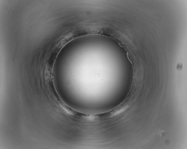 X0000091930432200709121602