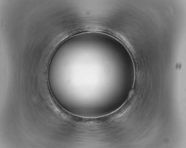 X0000091930433200709121602