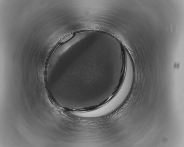 X0000091930434200709121602