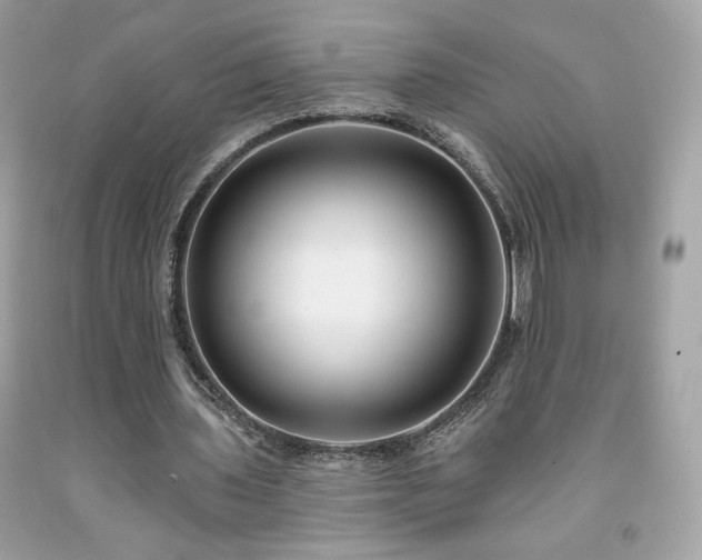 X0000091930435200709121602