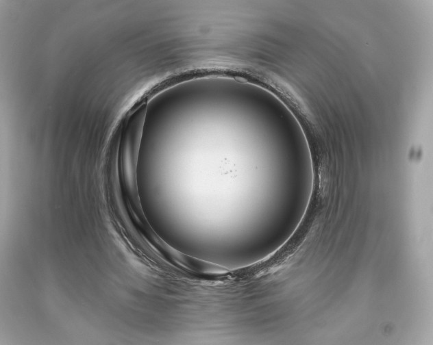 X0000091930436200709121602