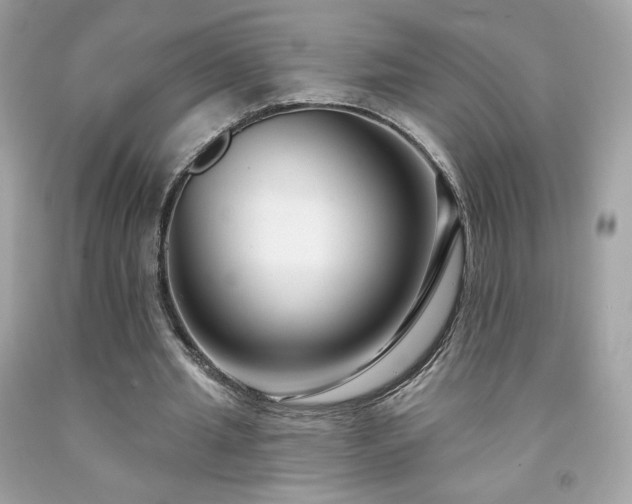 X0000091930437200709121602